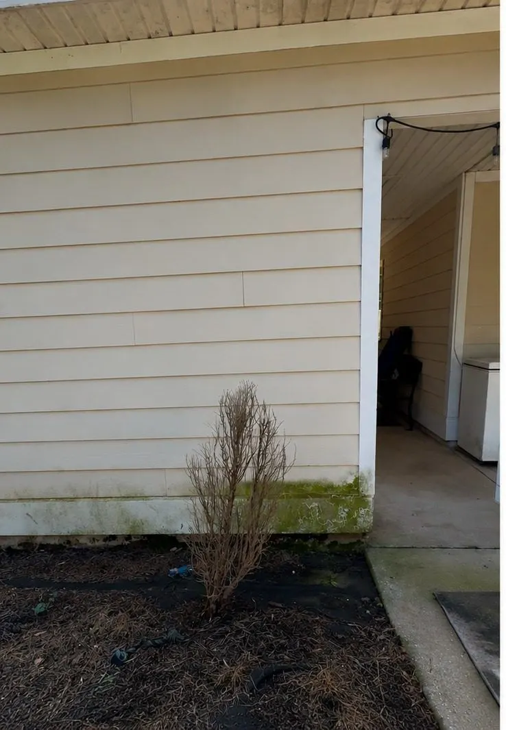 Before cleaning. House siding and breezeway, dirty then soft washed